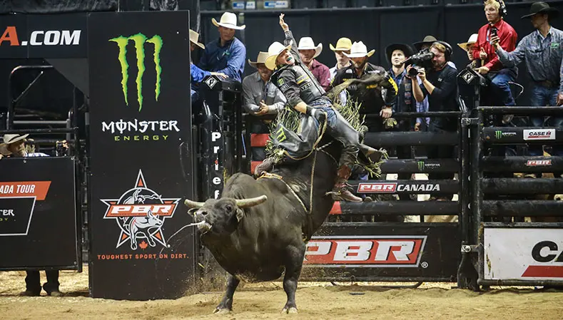 PBR Canada Top 50: Liquid Fire bucks the competition as 2016 Monster Energy Tour bounty bull