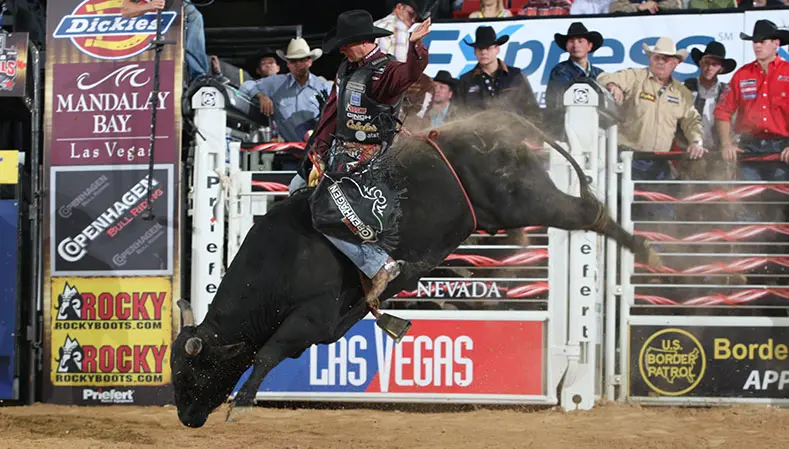 World Finals Rewind: Top 5 rides from Round 6 of the 2008 PBR World Finals