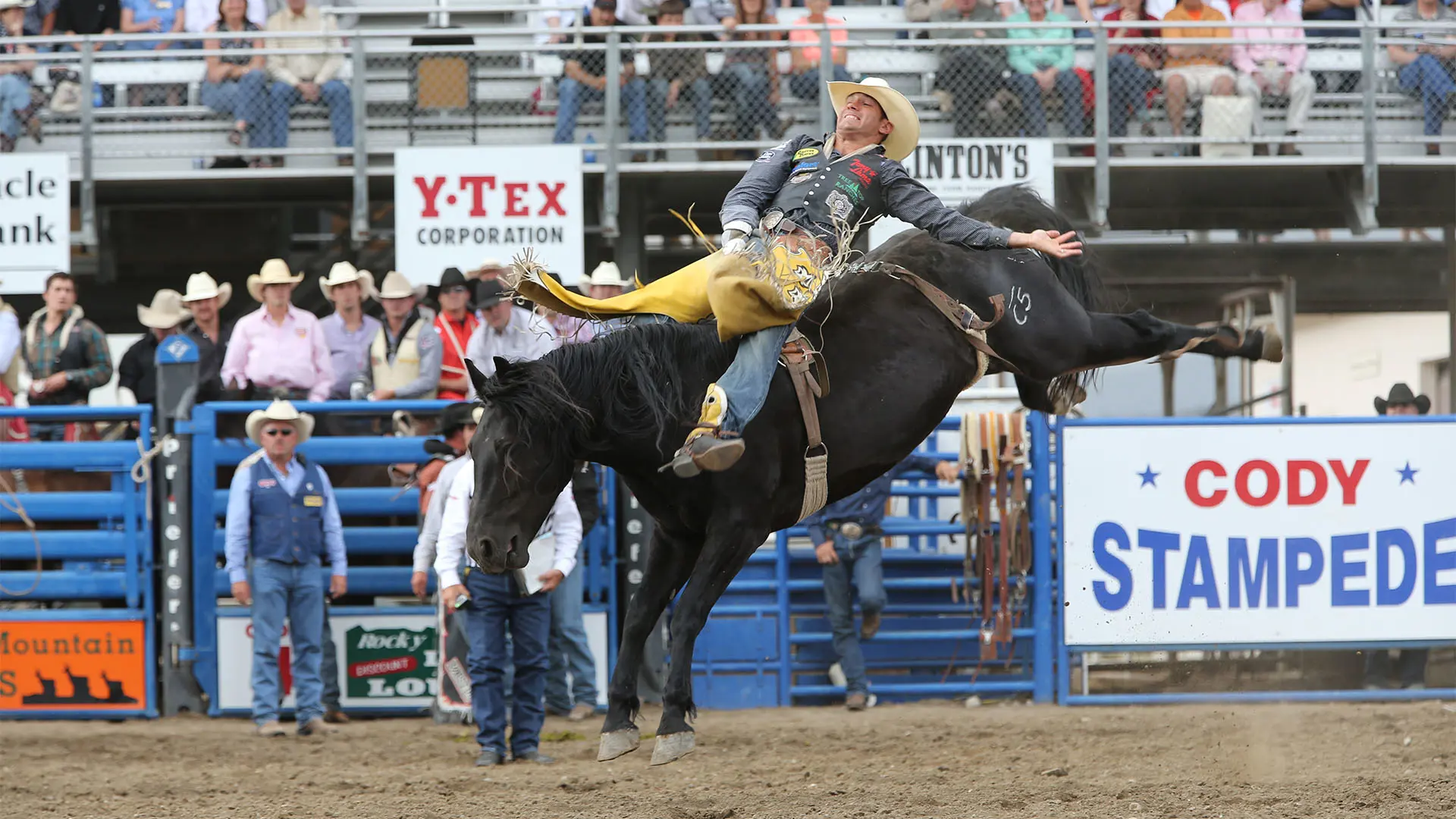 Legendary rodeo coaches announced for million-dollar Kid Rock’s Rock N Rodeo