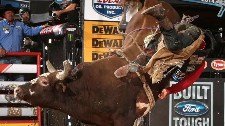 Bushwacker finishes on top