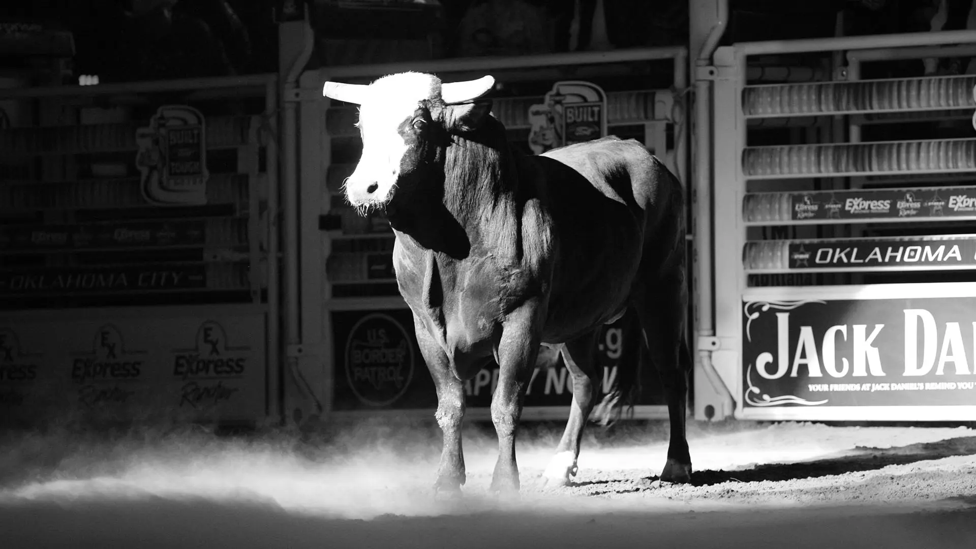 Bones, two-time World Champion Bull, passes away