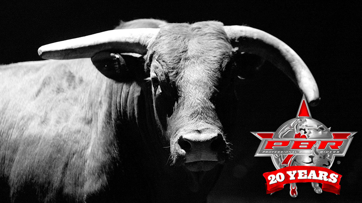 PBR | Little Yellow Jacket sets the standard