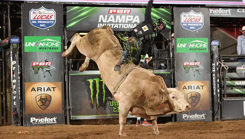 The Right Stuff in contention for YETI World Championship Bull title