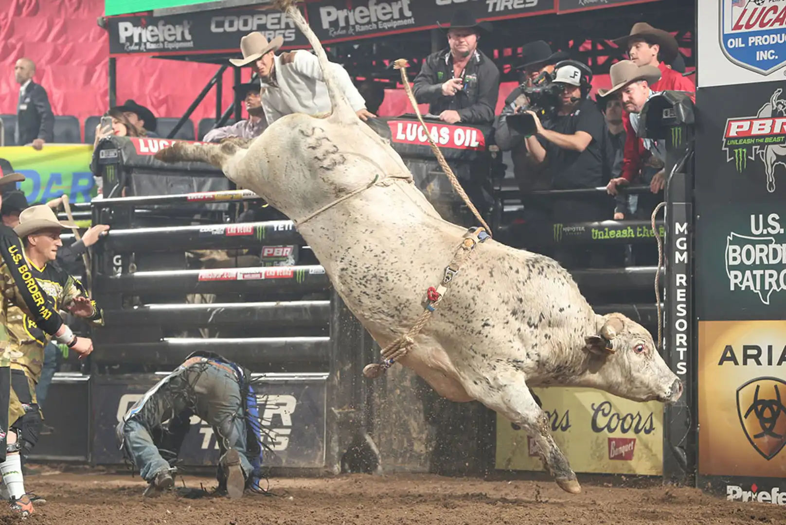 d77099a5-6c56-4e58-9cf1-9acdb6f789a2