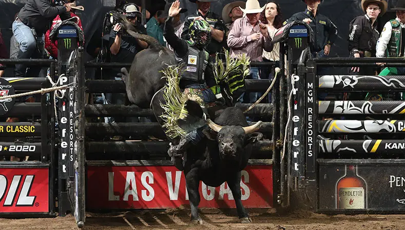 $62,500 up for grabs for bull riding champion at Stampede at the E
