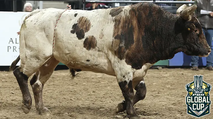 Pound the Alarm retires on top at Global Cup in Edmonton