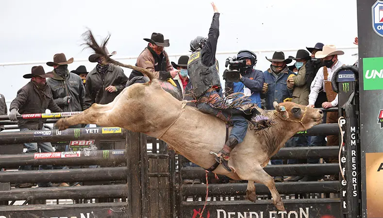 Cowtown Coliseum championship round bull power to be World Finals rank