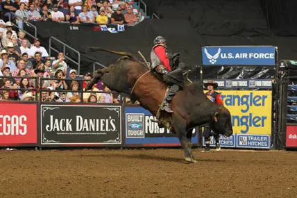 Birmingham hosts PBR development tour