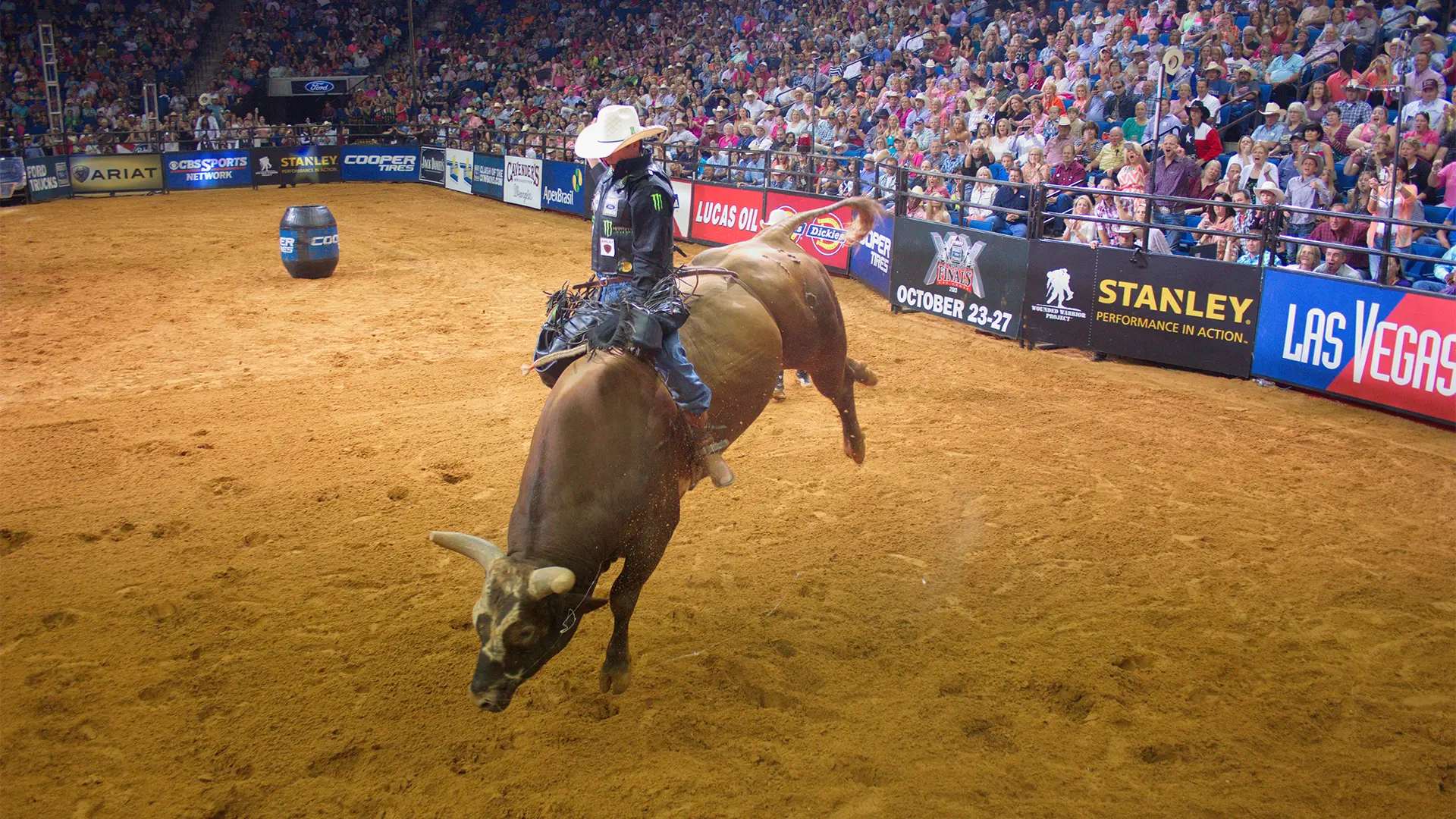 Top bull scores from Bushwacker’s legendary career