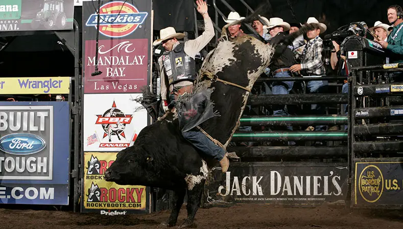 PBR Canada Top 50: Four-time World Finals bucking bull VJV Slash retires