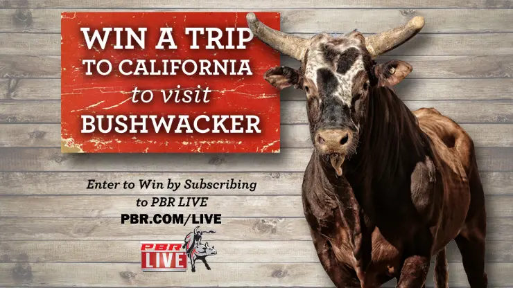 Win a trip to visit Bushwacker!