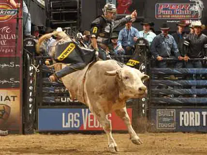 Alves gets win at Mohegan Sun PBR