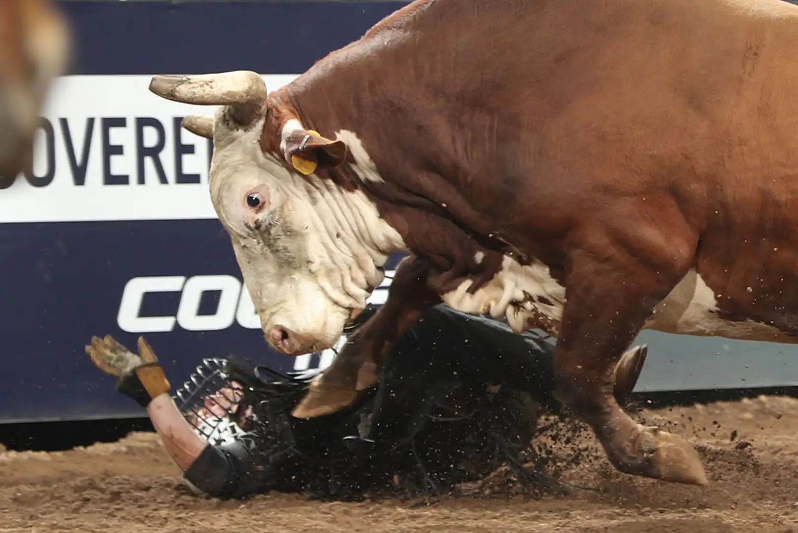 e080ec56-8d29-44c9-b32b-297bc33a6172