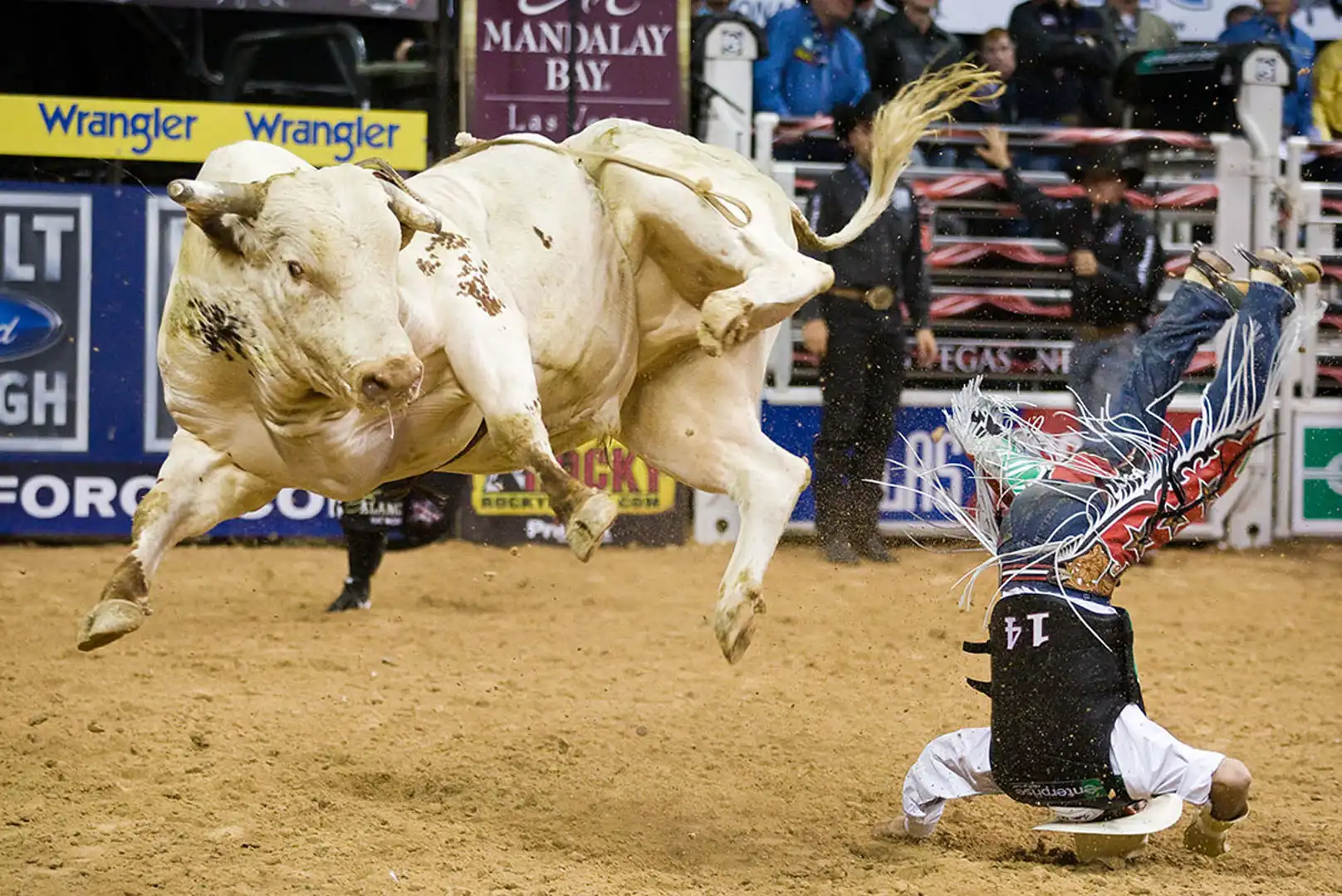 4d9102a6-36d5-4ec2-8e4e-62f3d0d59f35