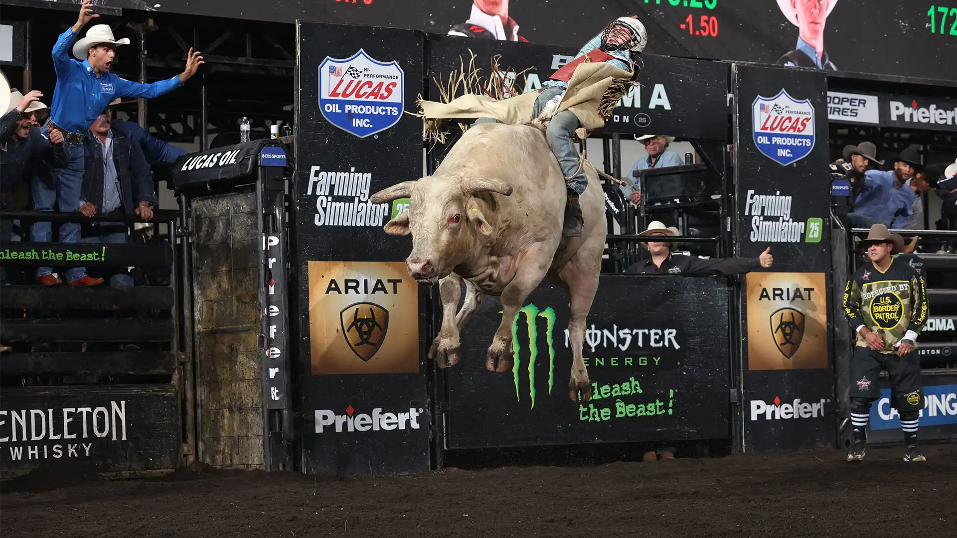 Cool Whip and the sunshine he left behind