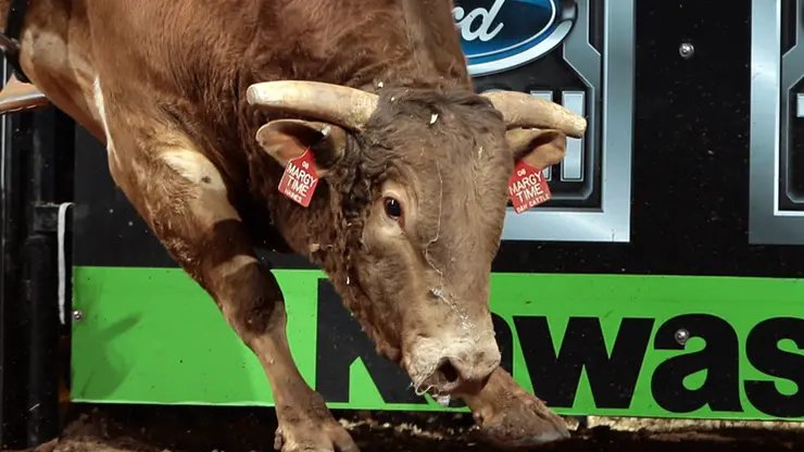 In the bull pen: Anaheim