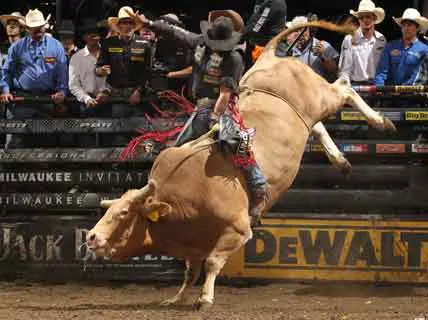 Lima a perfect 4-for-4 to win PBR Milwaukee Invitational