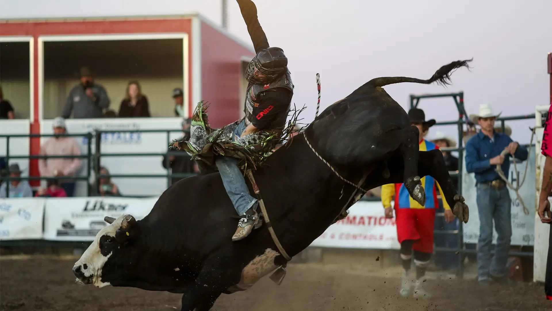 Two-time PBR Canada Champion Dakota Buttar wins Touring Pro Division's Royal Rumbull