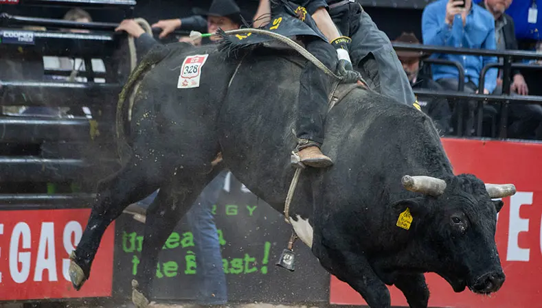 PBR Canada Top 50: Canadian bull power propels riders to 90-point scores at 2018 World Finals