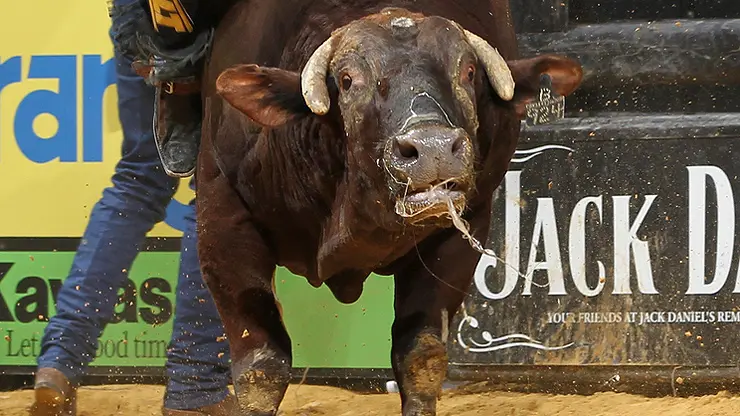 In the bull pen: Winston-Salem