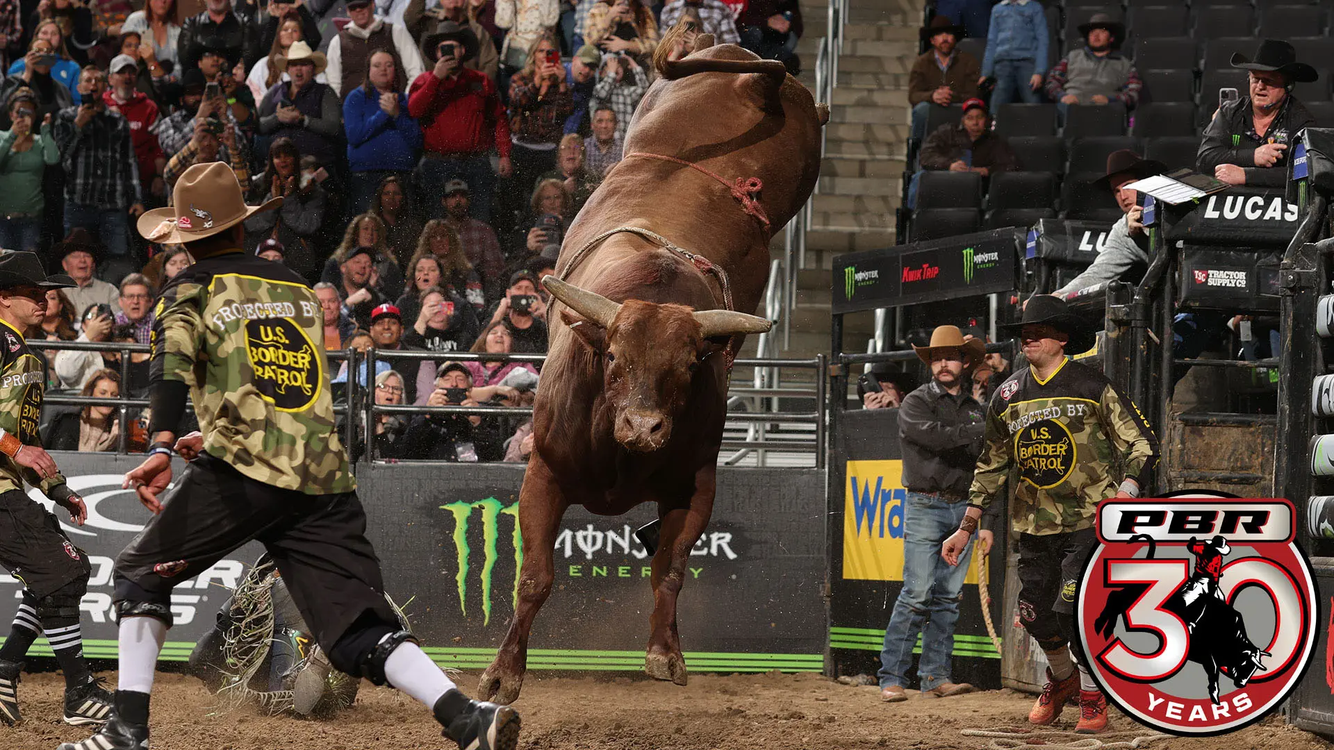 Who is the best bull in PBR history? Current riders weigh in