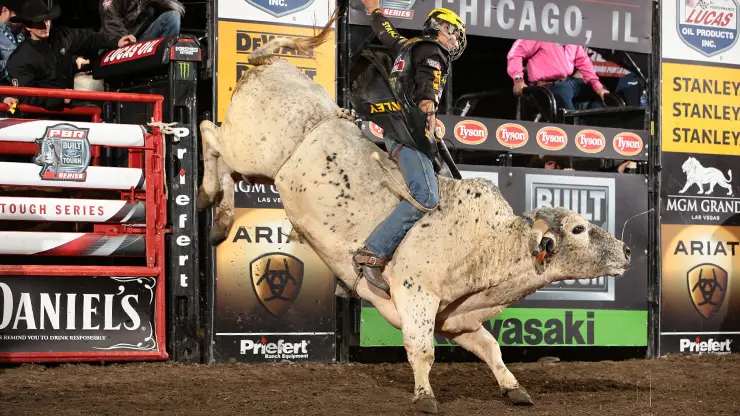 Alves reigns in Chicago