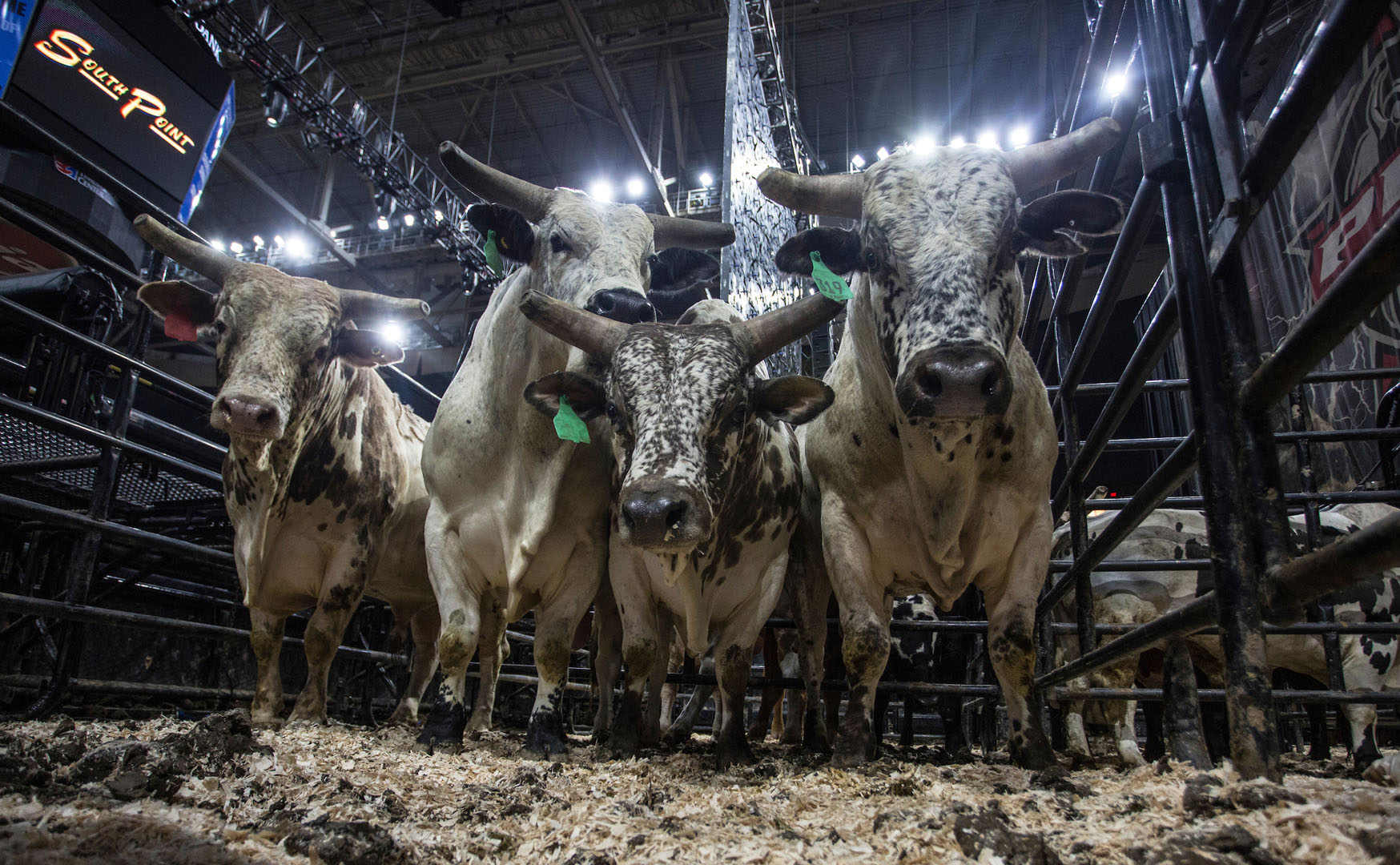 PBR | Skeeter Kingsolver wins Velocity Tour Albany Classic