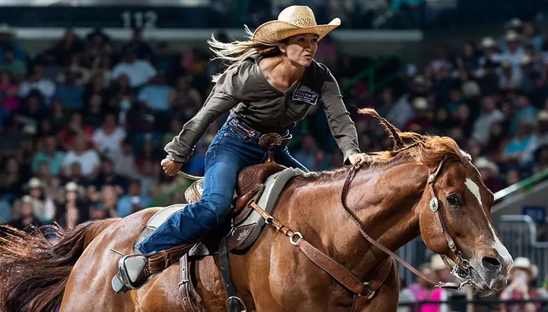 Underdogs become wonderdogs at $553,000 Rodeo Corpus Christi