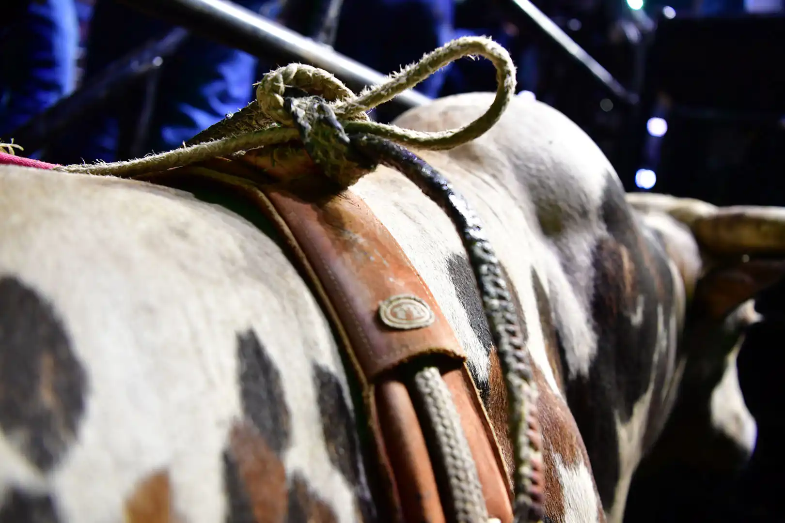 7fe94877-83d2-4d2d-84bc-7d2872e49f15