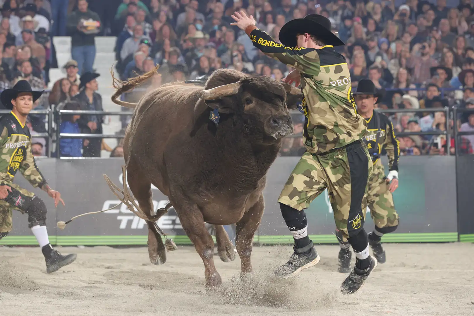 e5f02474-9990-4f9e-8eb8-0e7da2c60c3d