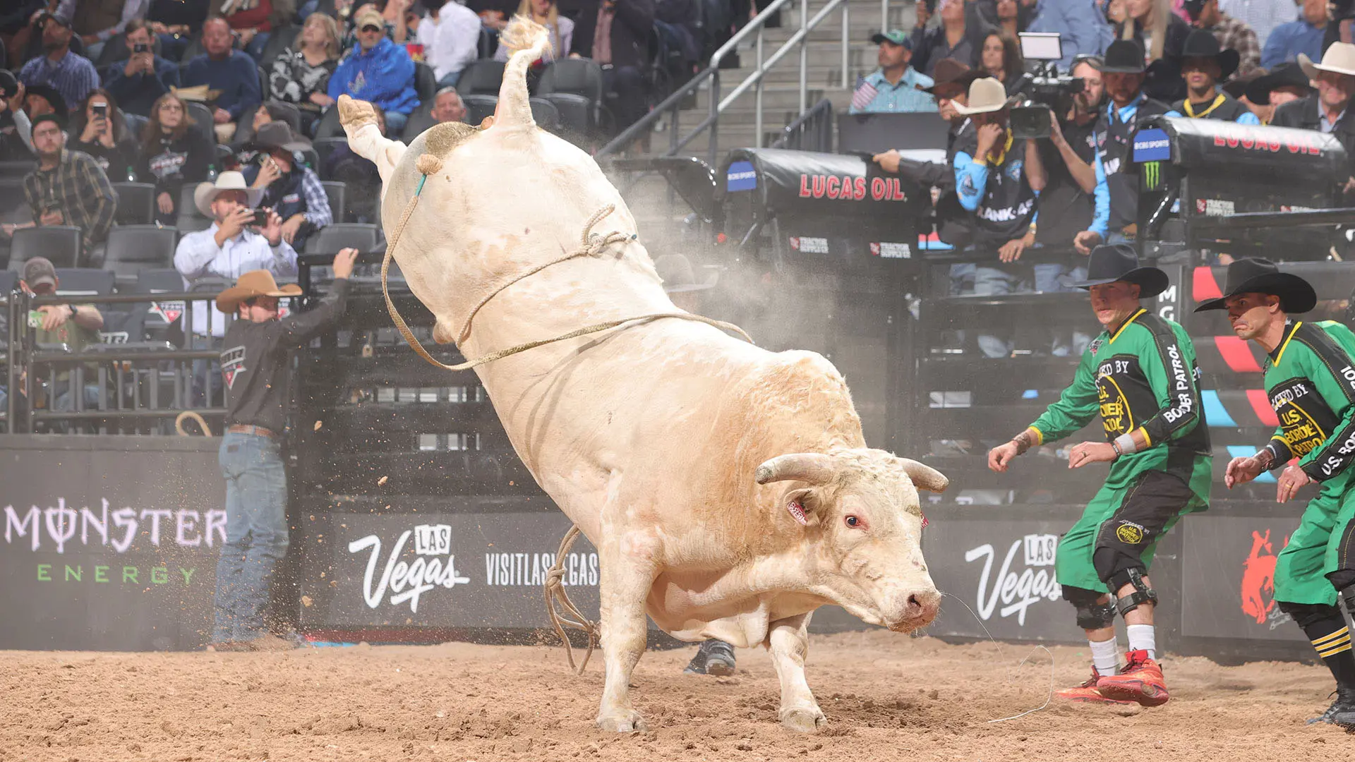 “Large chunk of athleticism” Cool Whip holds special place in stock contractor Addison’s heart