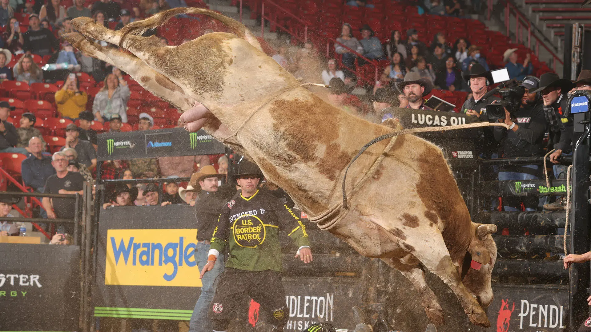 Domino erupts for 47.75-point bull score in Nampa