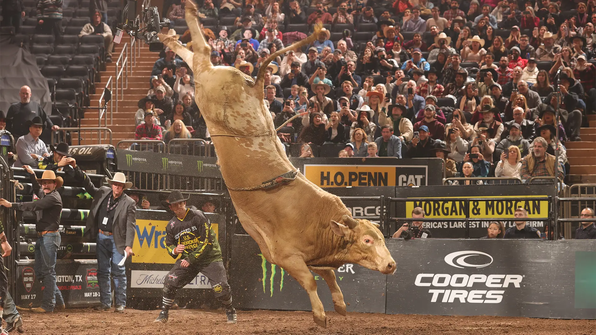 Bucking bull qualifiers announced for 2024 PBR World Finals May 9-19 