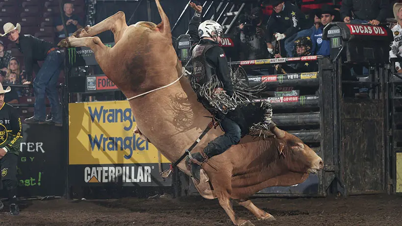 Taylor bounces back from minor back injury as multiple riders get hurt during rough night in Springfield