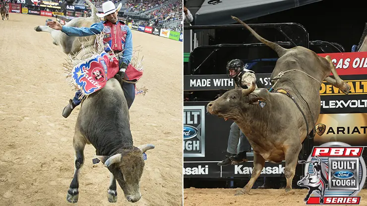 Past two PBR World Champion Bulls to compete at NFR