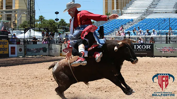 PBR to bring Ultimate Freestyle Bullfighting to PBR Finals Week