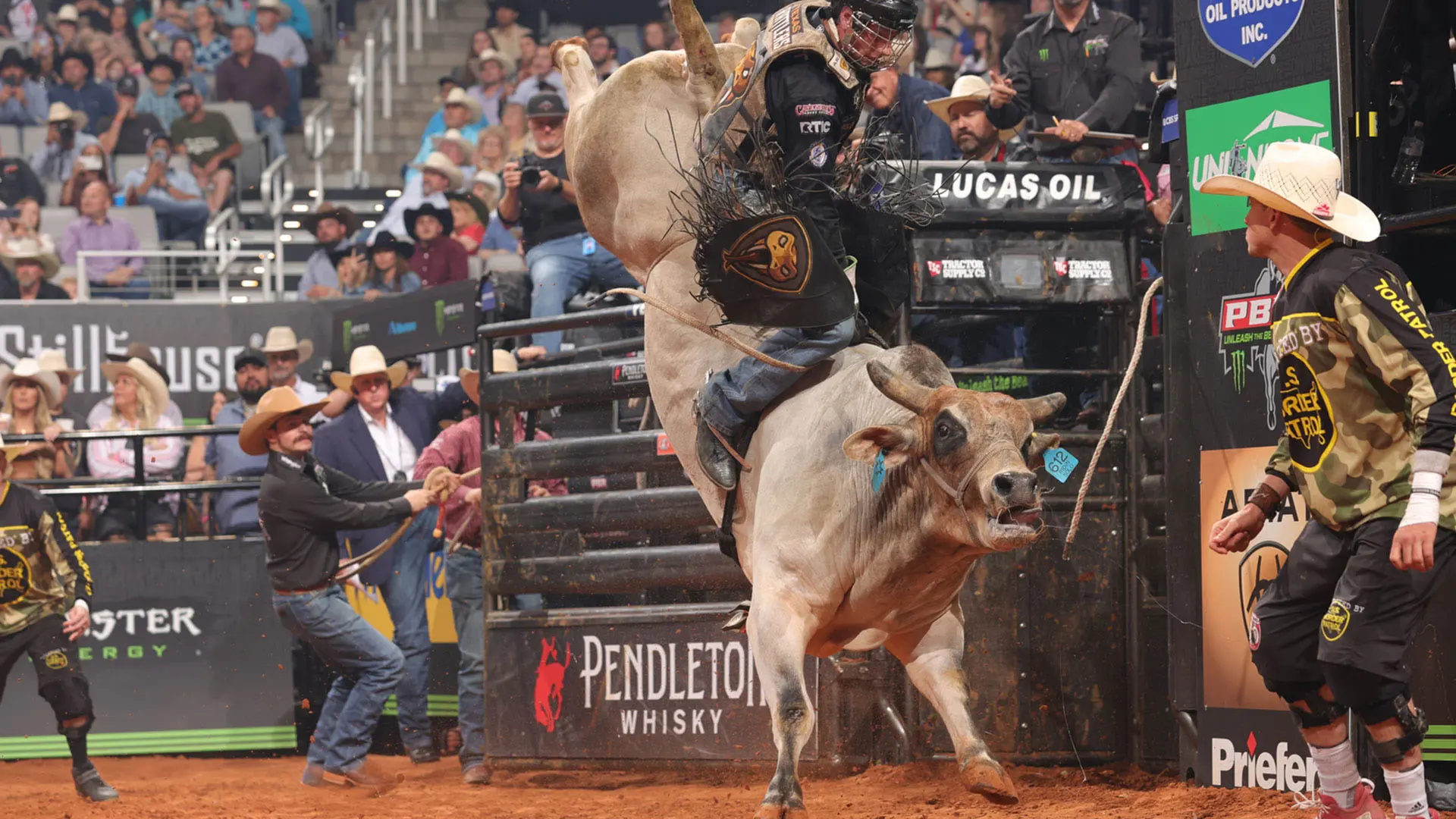 Ridin Solo joins elite company with second consecutive YETI World Champion Bull title