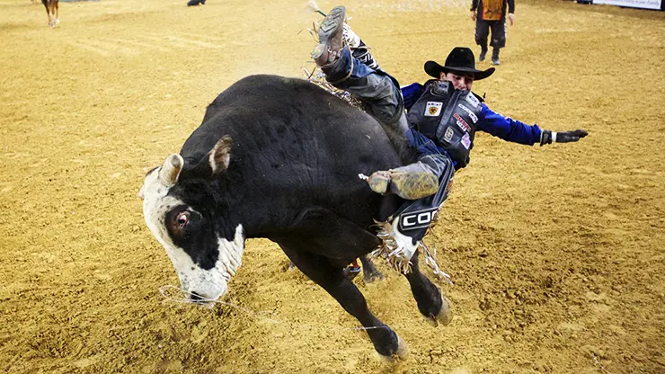 PBR reveals second half of 2014 schedule