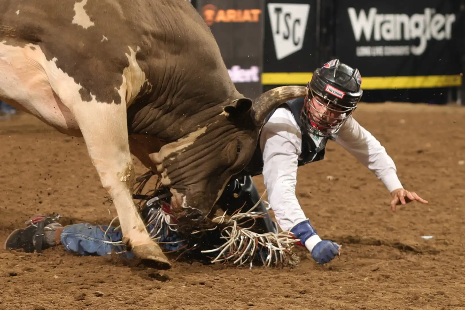 298329f3-2dd6-447d-8e08-1873960c529b