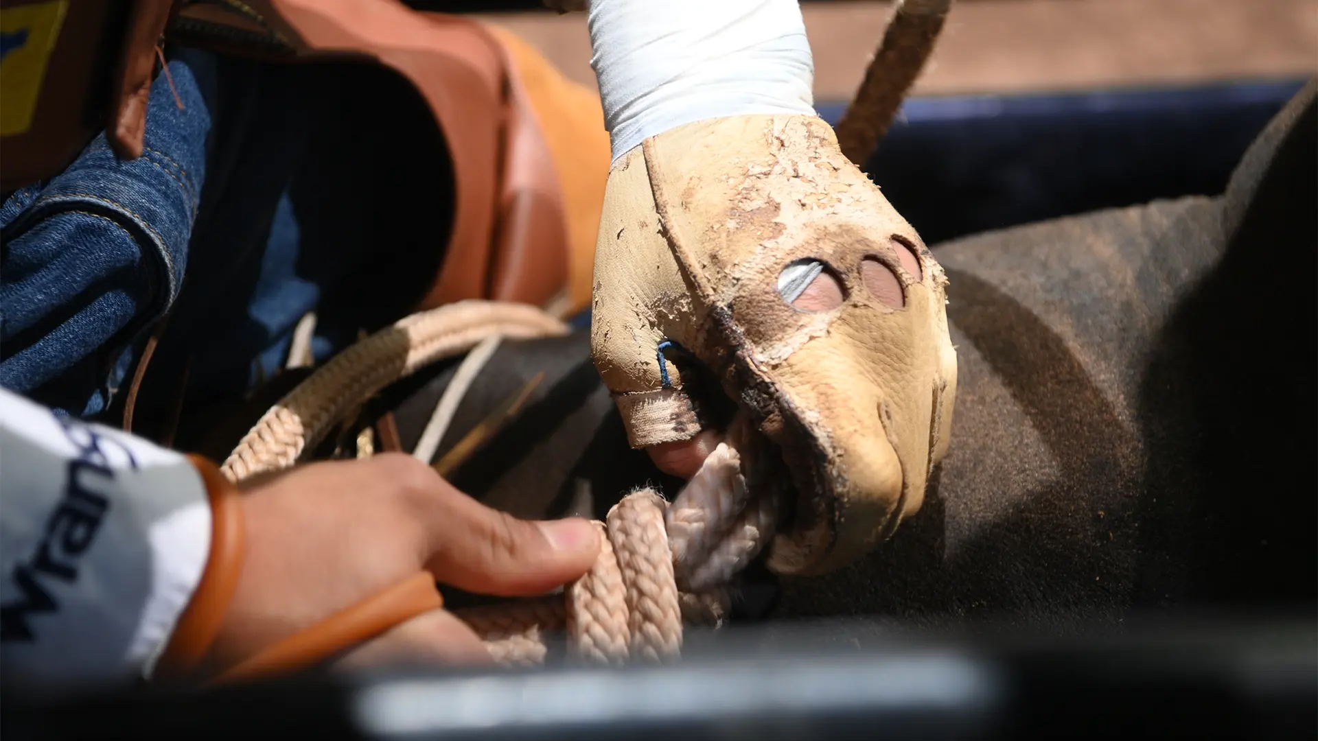 Western Sports Foundation announces $100,000 Fon McConnell Be Cowboy Scholarship Endowment