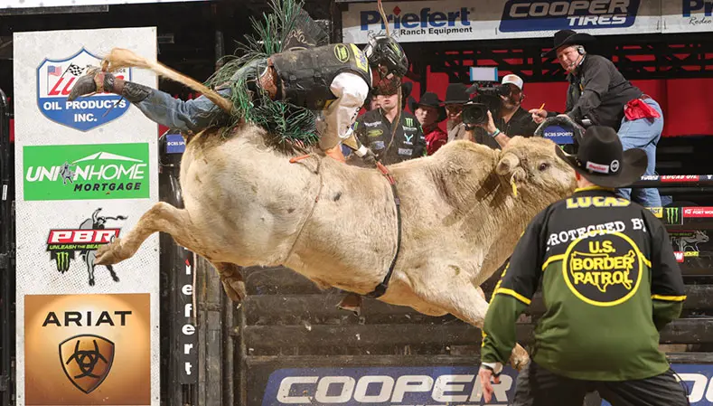 Moonlight Party makes case for YETI World Champion Bull consideration