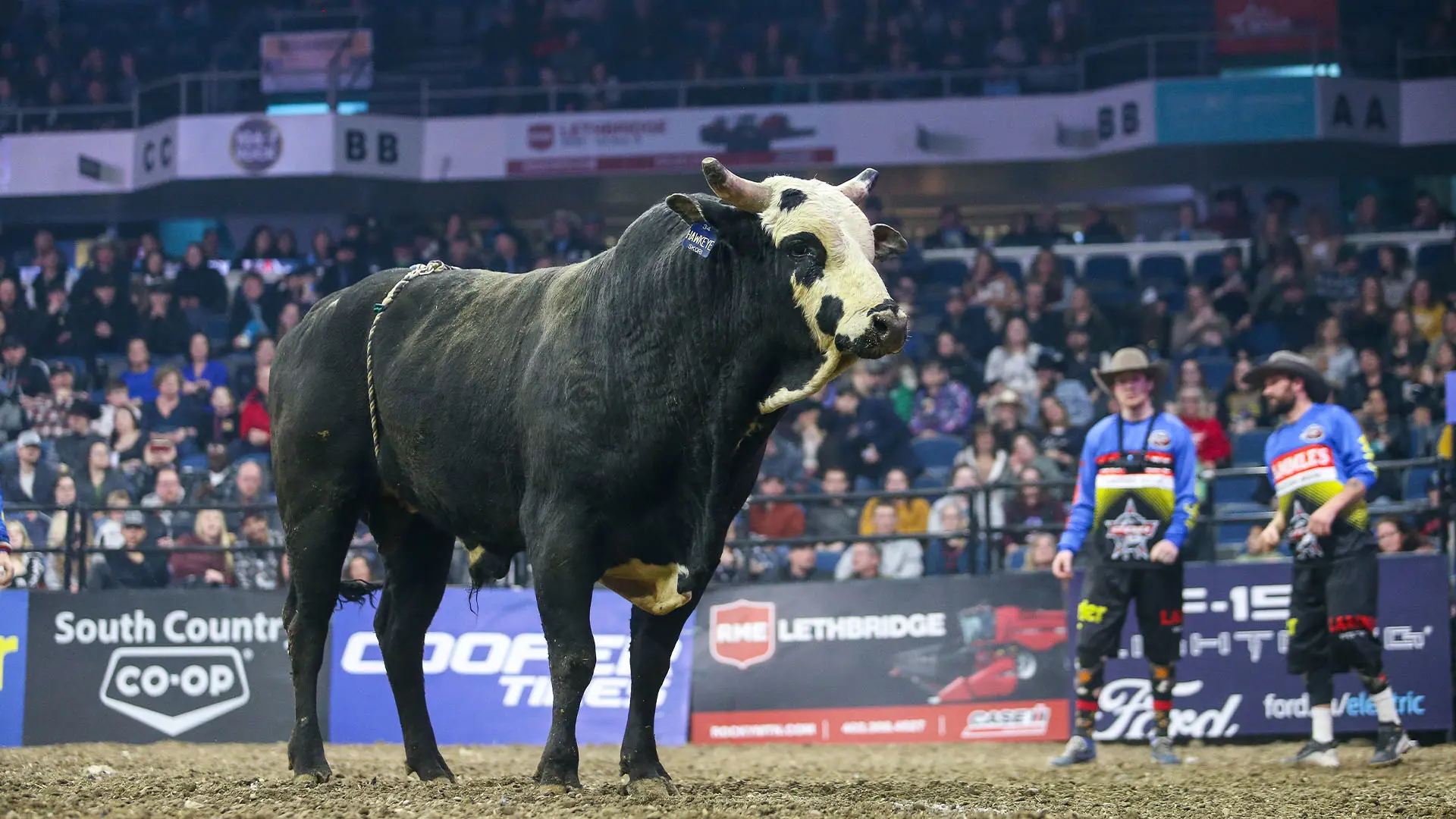 The Morning Line: PBR Canada National Finals Round 1