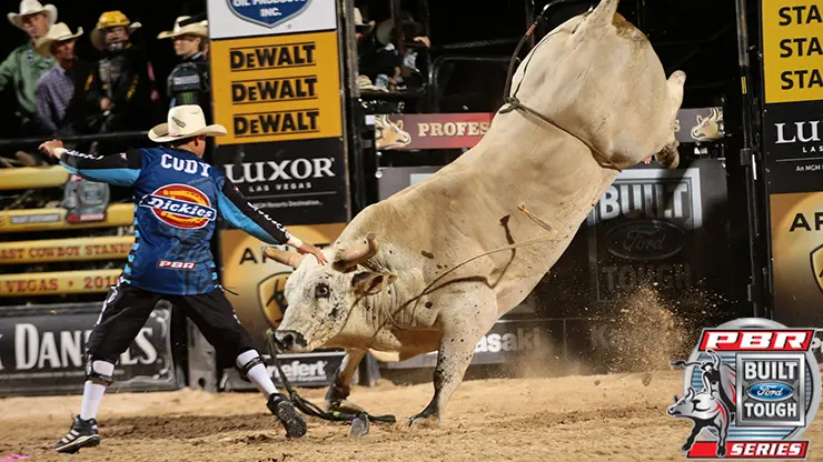 Big Cat causing big problems for bull riders