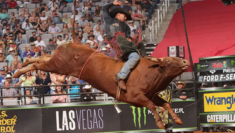 Rank bovines highlight 2021 PBR World Finals bull qualifiers 