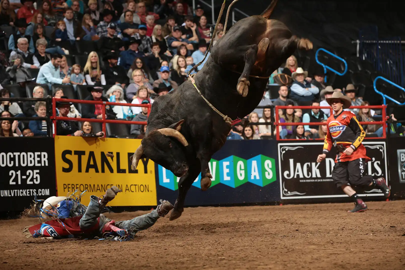 8c252cda-125c-46cd-b195-54afd6f6941c