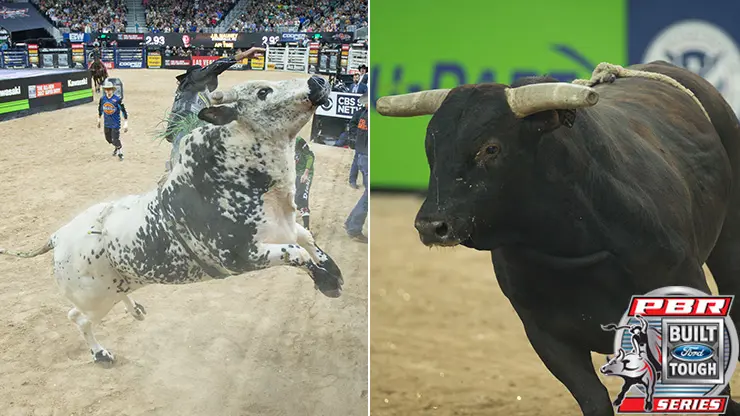 Air Time and 2012 World Champion Bull Asteroid make Top-10 list