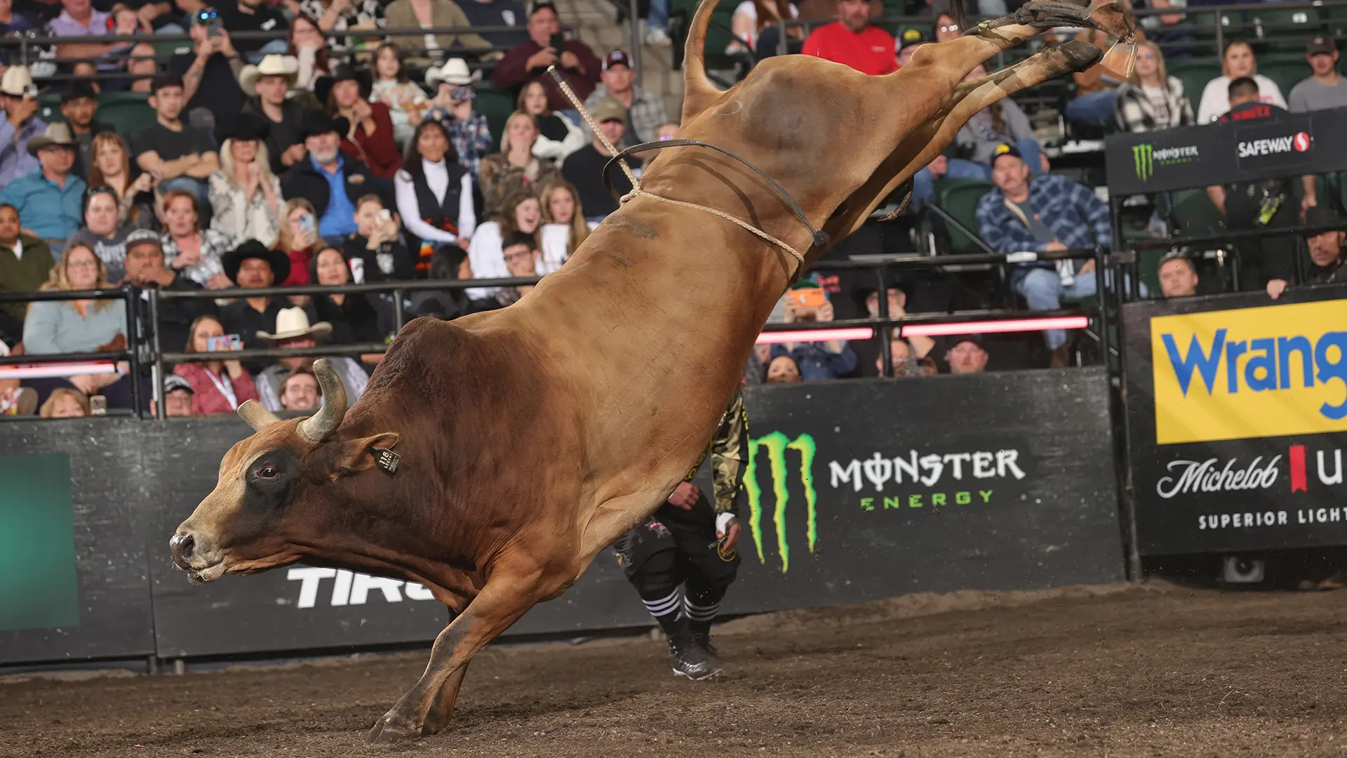 UB Bucking Co. gives back with $200,000 bounty bull at 2024 PBR World Finals