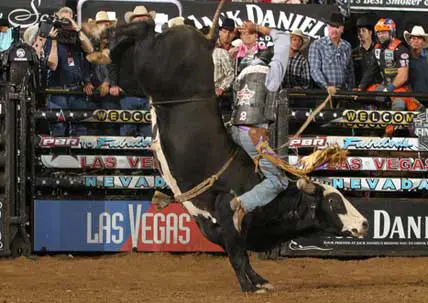 Alves claims PBR Rookie of the Year