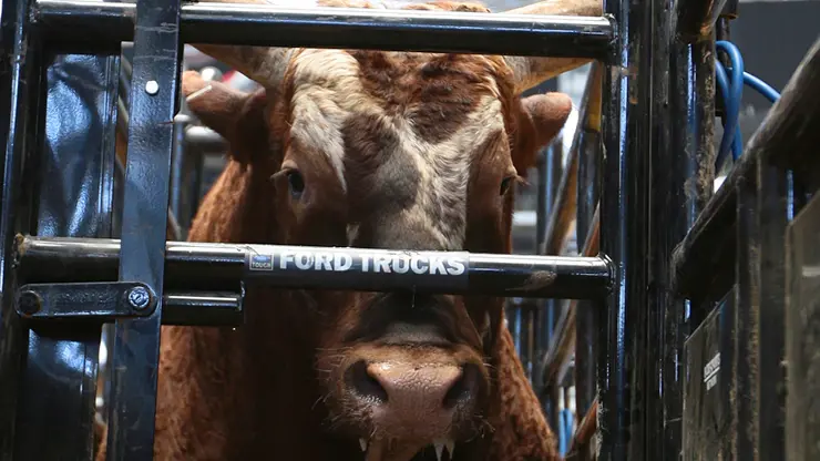 Bushwacker brings unblemished 2014 record into Salinas 
