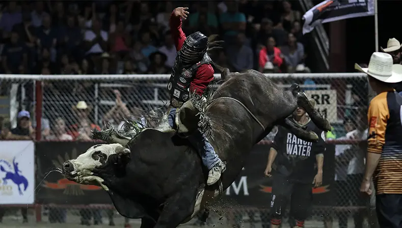 Vold Rodeo’s Up Shift steals show at Armstrong, British Columbia Touring Pro Division event